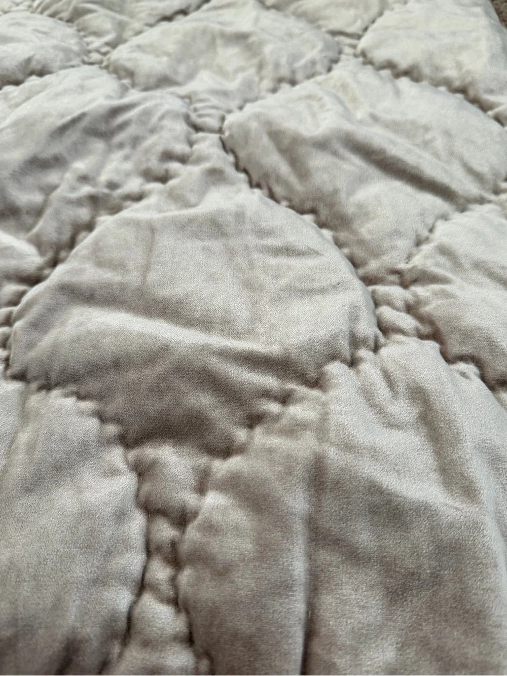New anthropologie Claire cotton velvet satin euro sham champagne beige 26 x 26